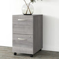 2 Drawer Mobile File Cabinet