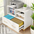 File Cabinet with Drawer, Letter/Letter/A4 Size, Adjustable Rod